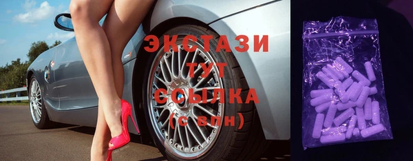 твердый Новодвинск