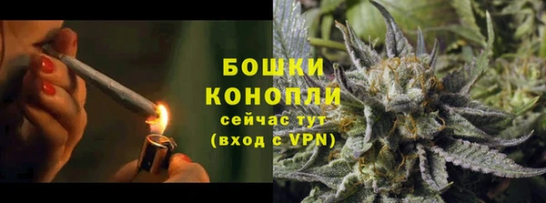 твердый Новодвинск