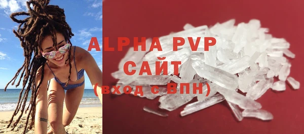 твердый Новодвинск