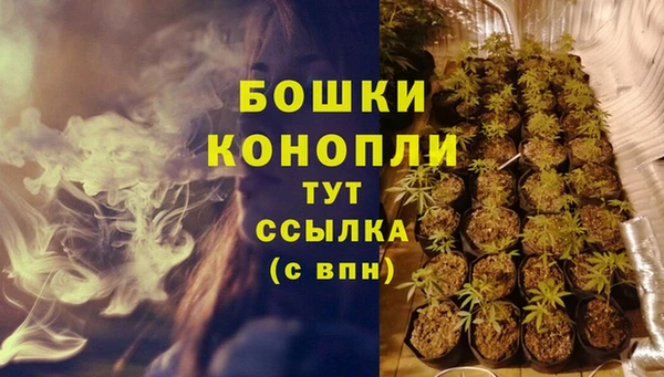 мет Нея