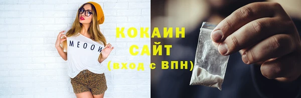 твердый Новодвинск