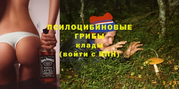 винт Новозыбков