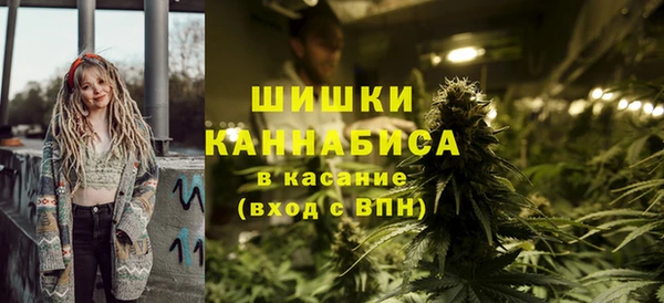 твердый Новодвинск