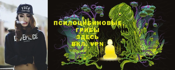 PSILOCYBIN Нефтегорск