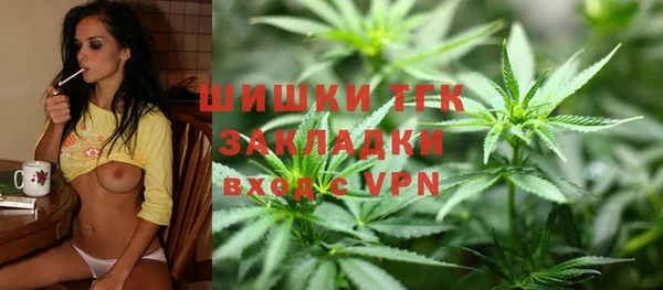 винт Новозыбков