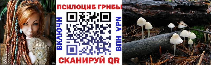 Псилоцибиновые грибы Psilocybine cubensis  Сергач 